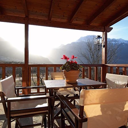 Villa Rustica Konitsa Zewnętrze zdjęcie