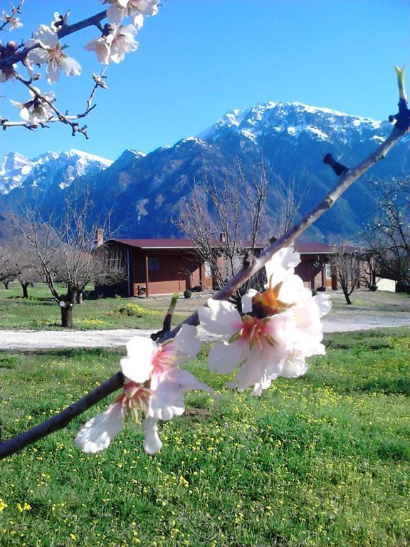 Villa Rustica Konitsa Pokój zdjęcie