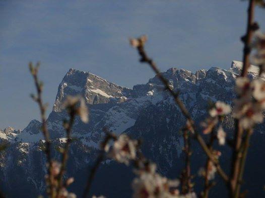 Villa Rustica Konitsa Zewnętrze zdjęcie