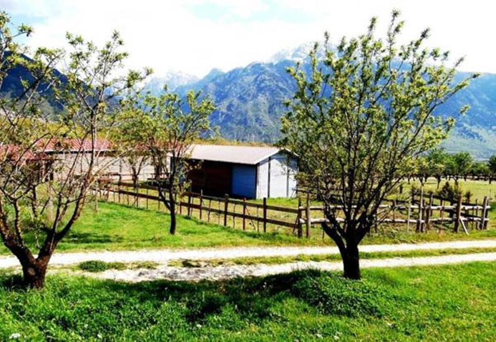 Villa Rustica Konitsa Zewnętrze zdjęcie