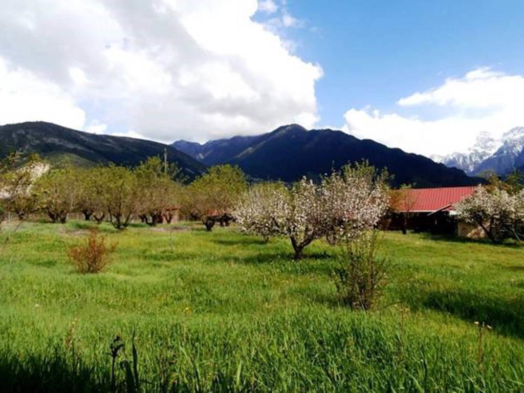 Villa Rustica Konitsa Zewnętrze zdjęcie