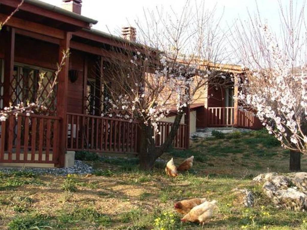 Villa Rustica Konitsa Pokój zdjęcie