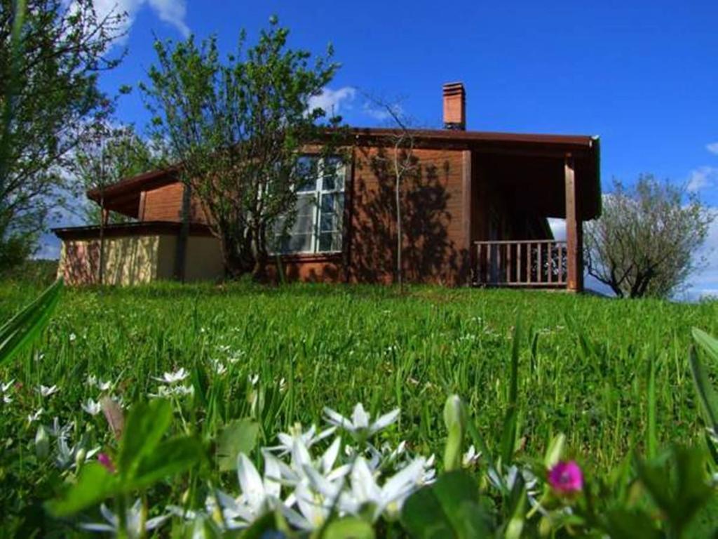 Villa Rustica Konitsa Zewnętrze zdjęcie