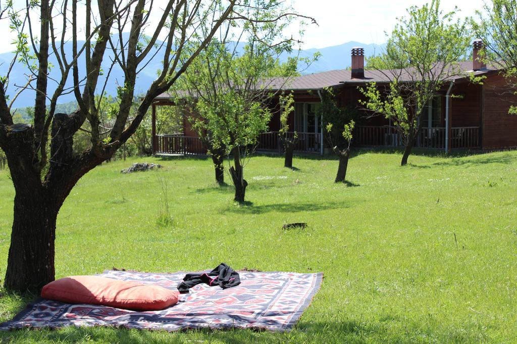Villa Rustica Konitsa Zewnętrze zdjęcie