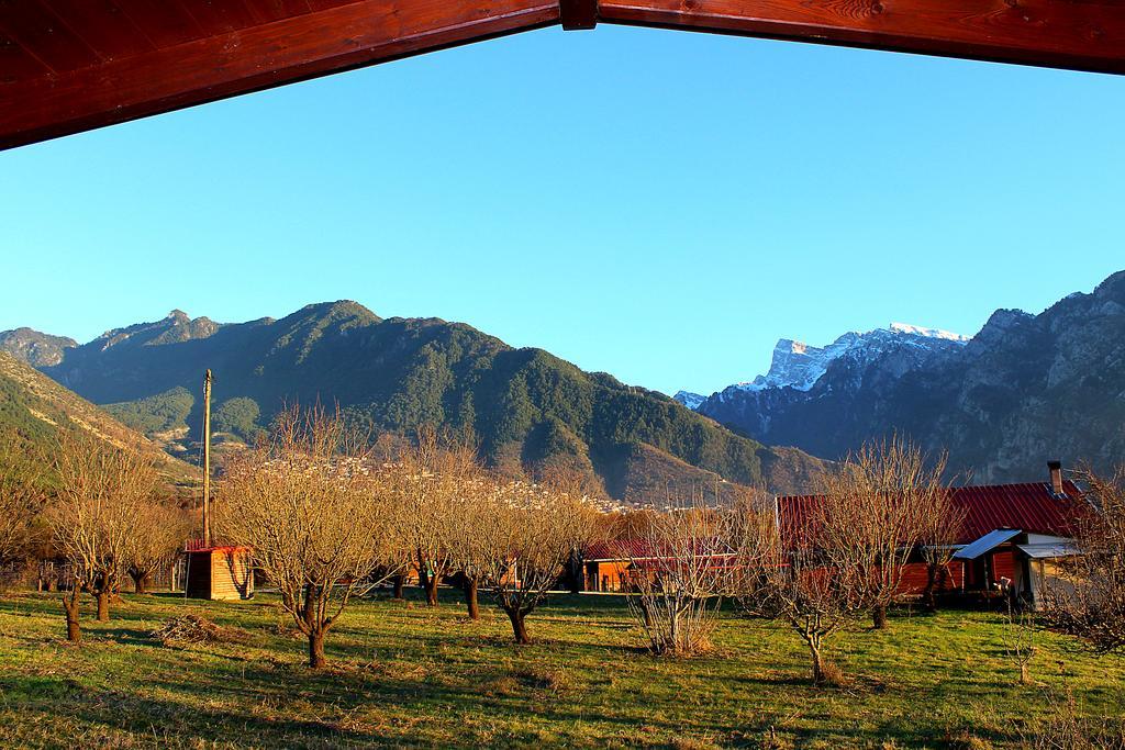 Villa Rustica Konitsa Zewnętrze zdjęcie