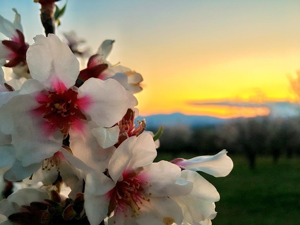 Villa Rustica Konitsa Zewnętrze zdjęcie