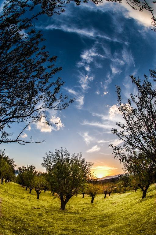 Villa Rustica Konitsa Zewnętrze zdjęcie
